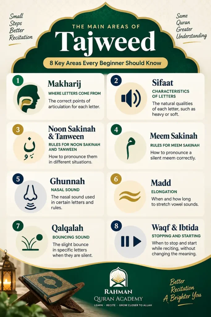 What Is Tajweed? A Beginner's Guide to Tajweed 2 Main areas of Tajweed including Makharij, Sifaat, Ghunnah, Madd, Qalqalah and Waqf